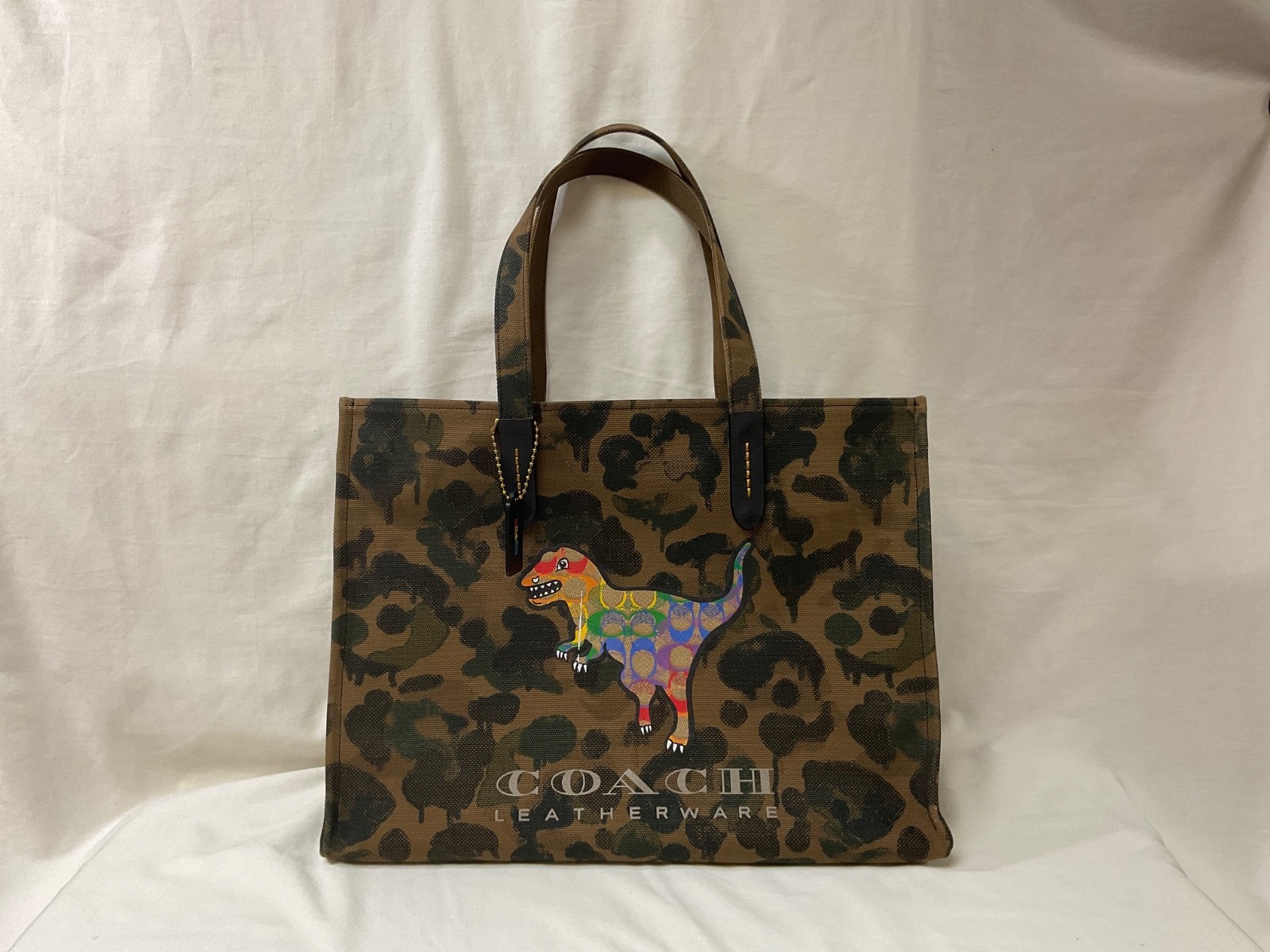 Coach canvas tote with Rainbow Signature Roxy and snap closure