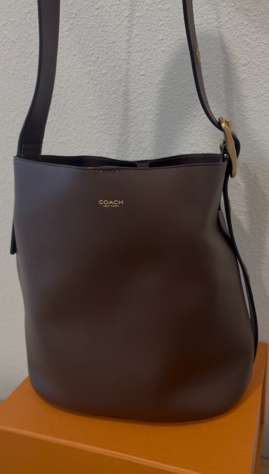 Coach Bleecker Leather Bucket Bag (Maple)/Brass