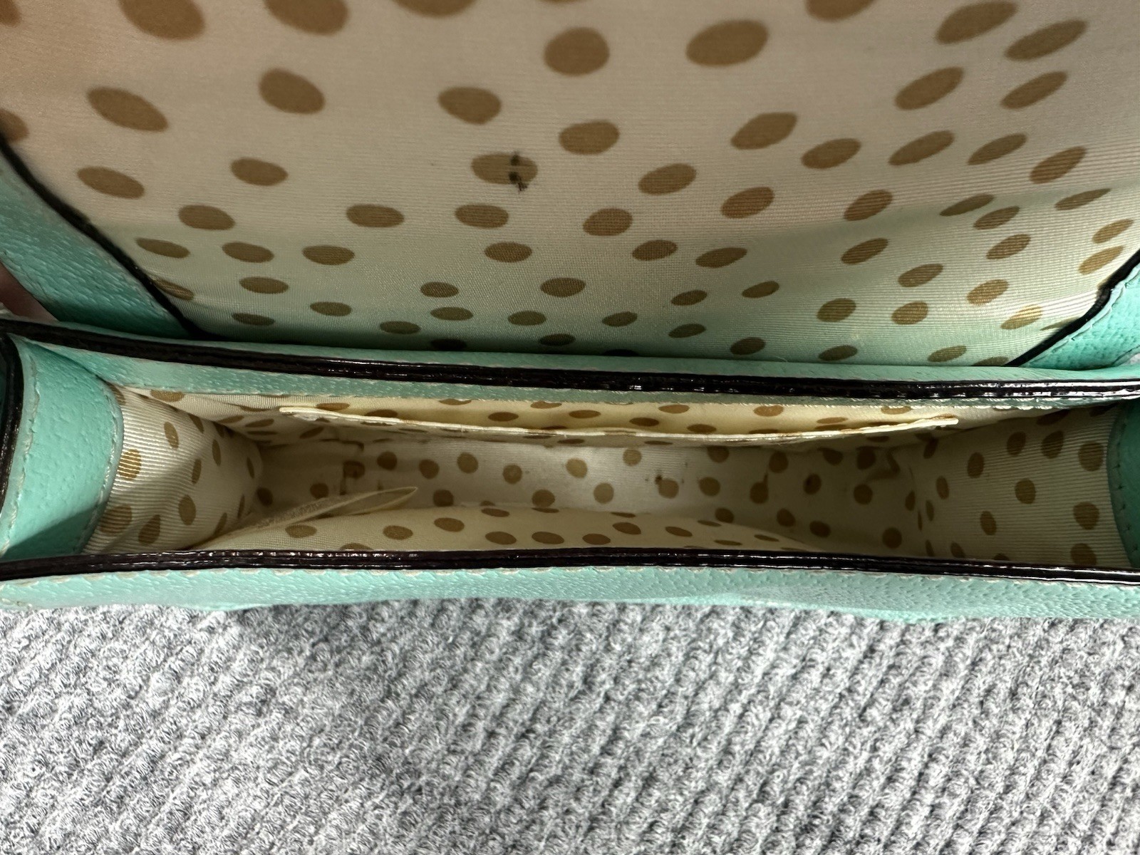 Kate Spade Wellesley Flynn Crossbody Purse Mint Blue Pebbled Bag Polkadot 8×4