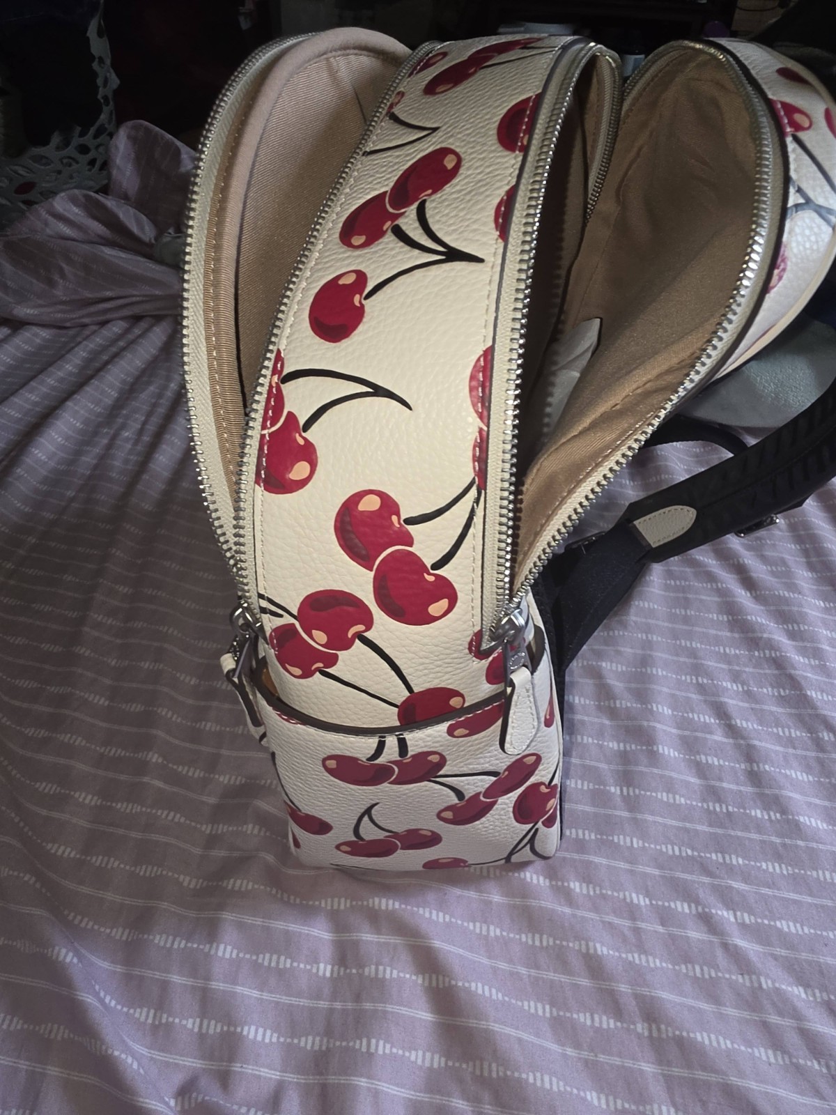 Coach Mini Cherry Print Backpack Zip Closure Silver Hardware Dust Bag Pockets