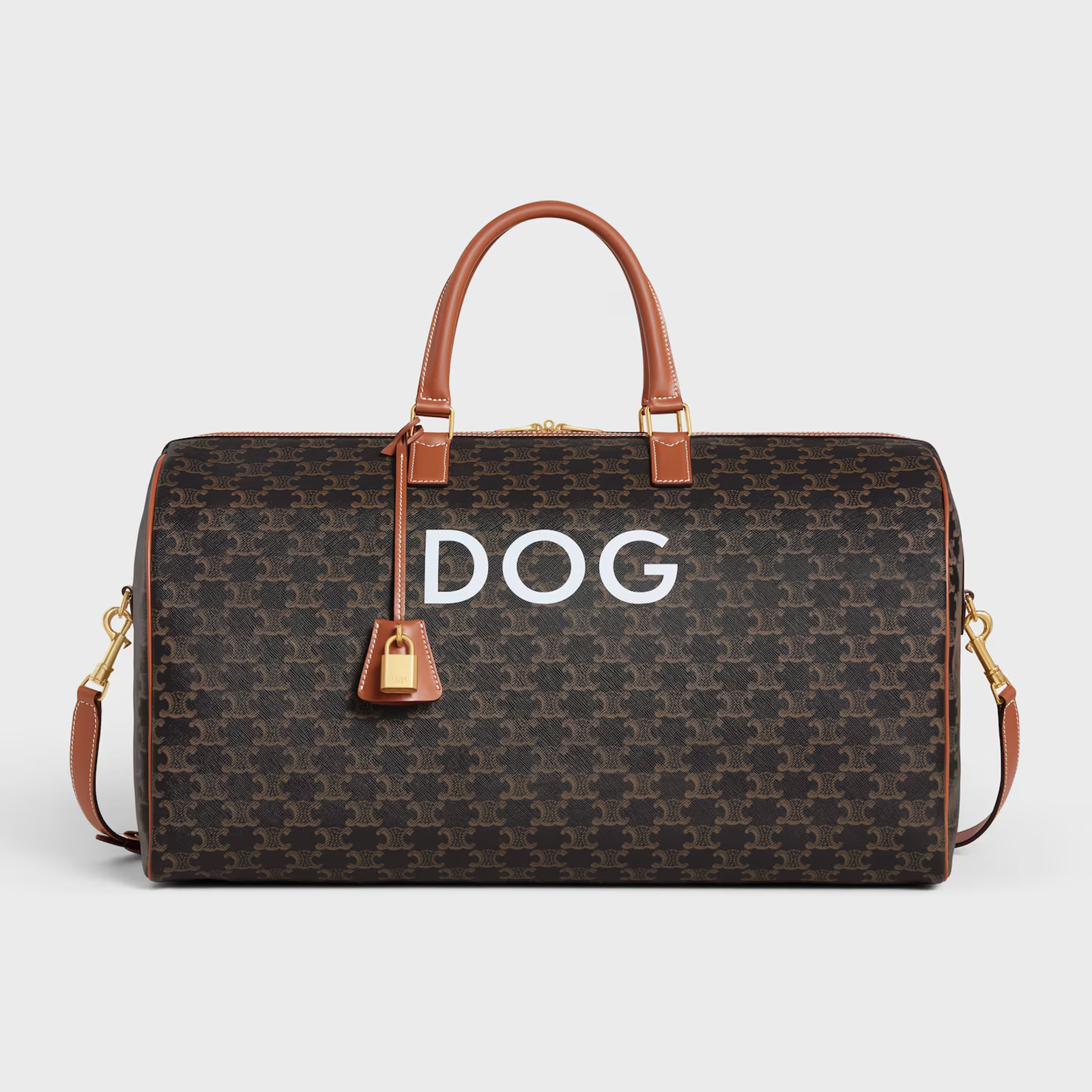 Celine Travel Duffel Bag 50 in Triomphe Canvas with Dog Print