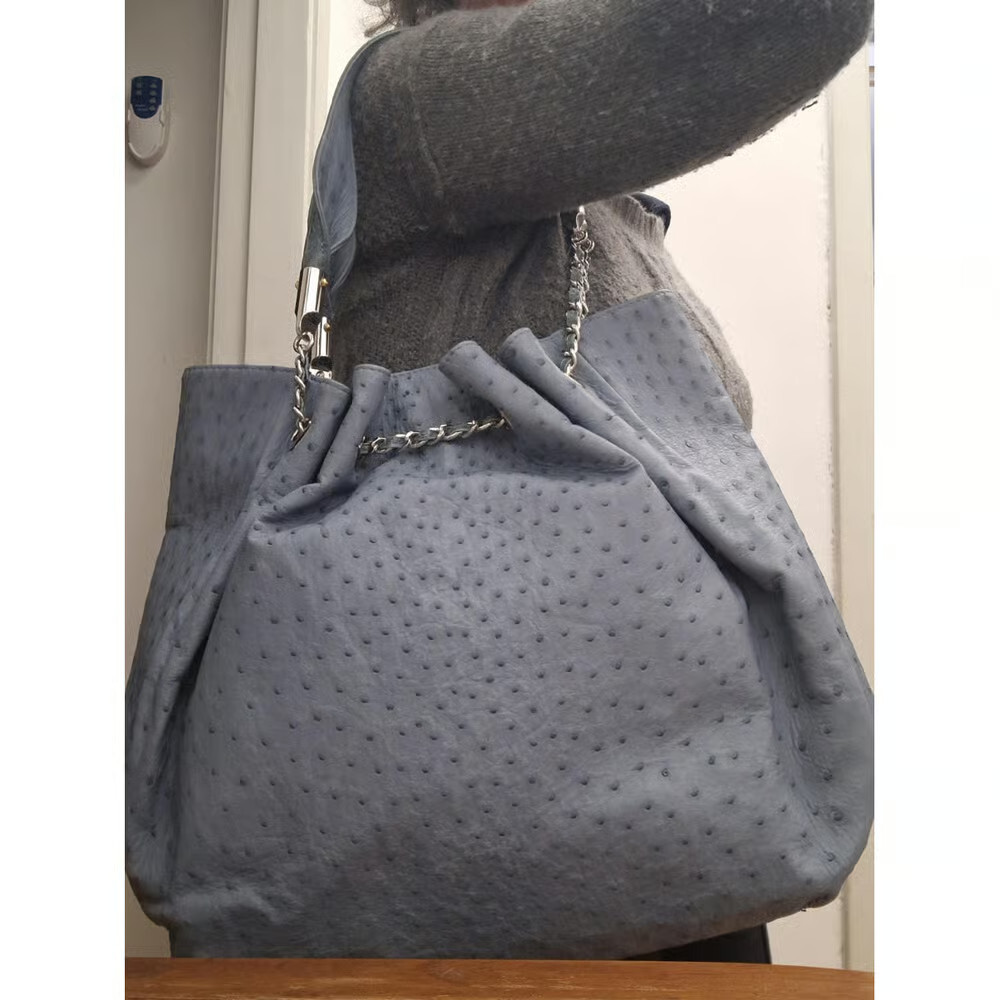 👜 Giorgia R Blue Mirror Bucket Bag Ostrich Skin