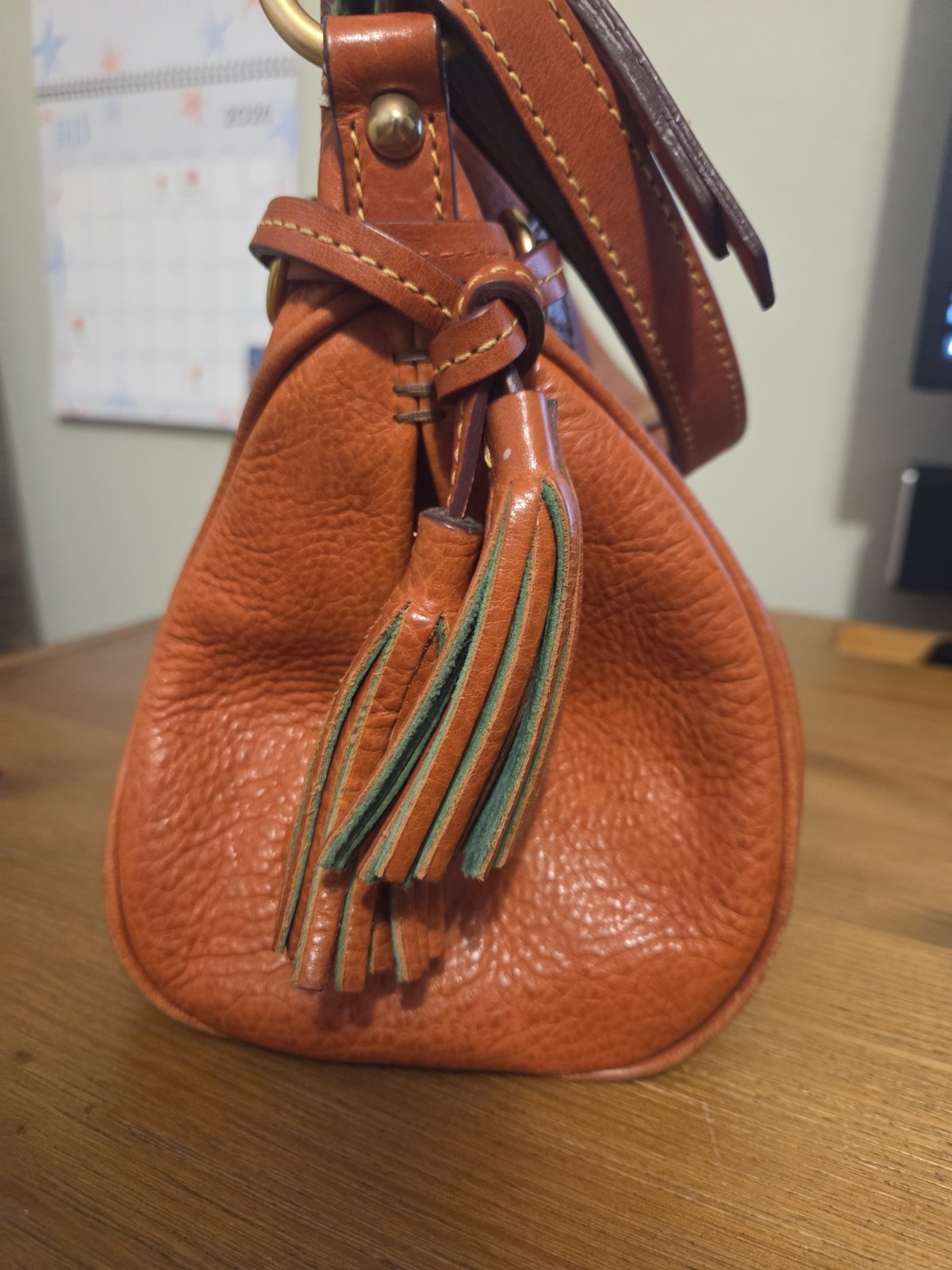 Dooney and Bourke Florentine Leather Tassel Medium Zip Hobo Handbag Purse