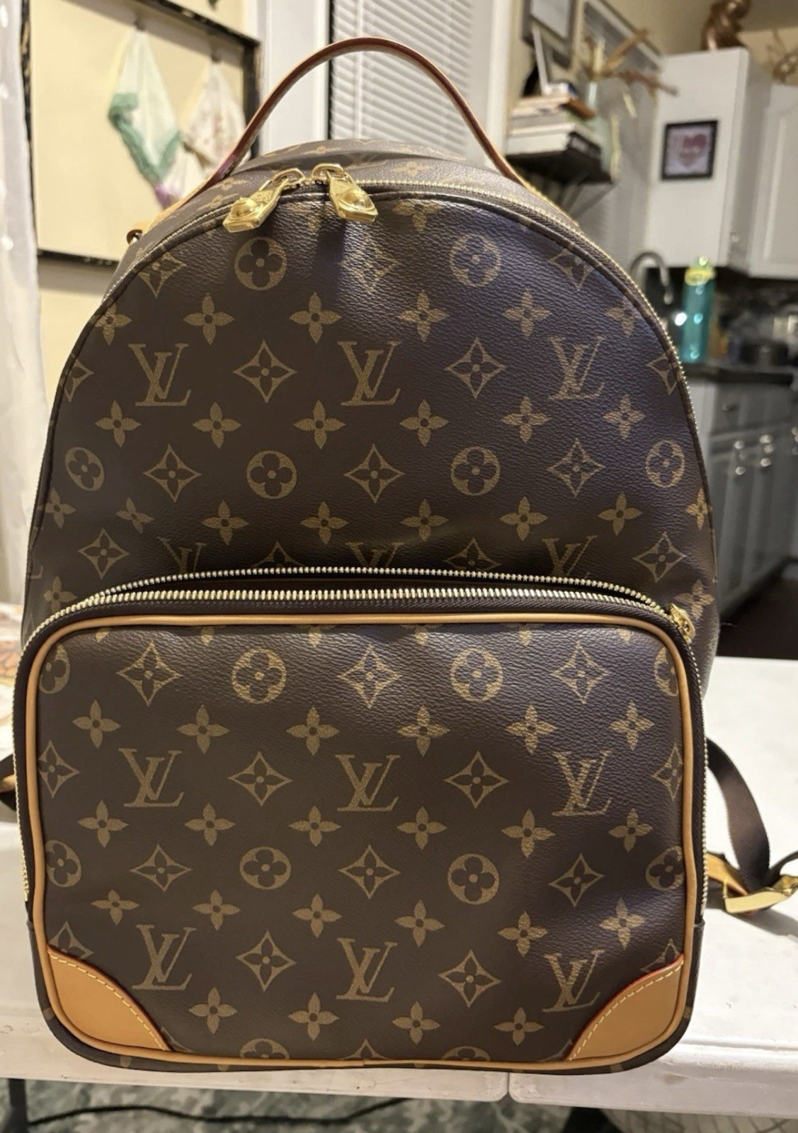 Louis Vuitton backpack