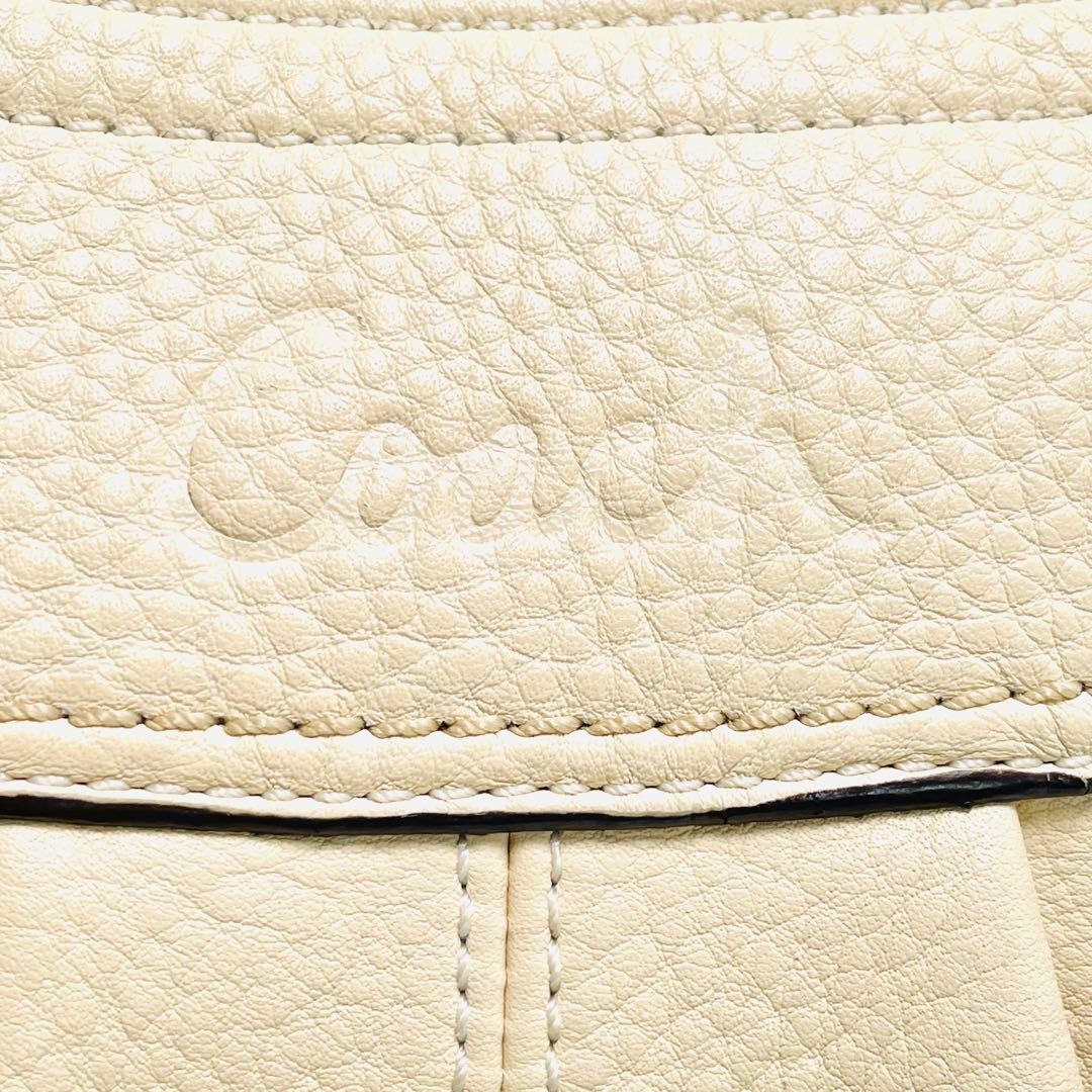 COACH Pleated Leather Hobo One Shoulder Bag