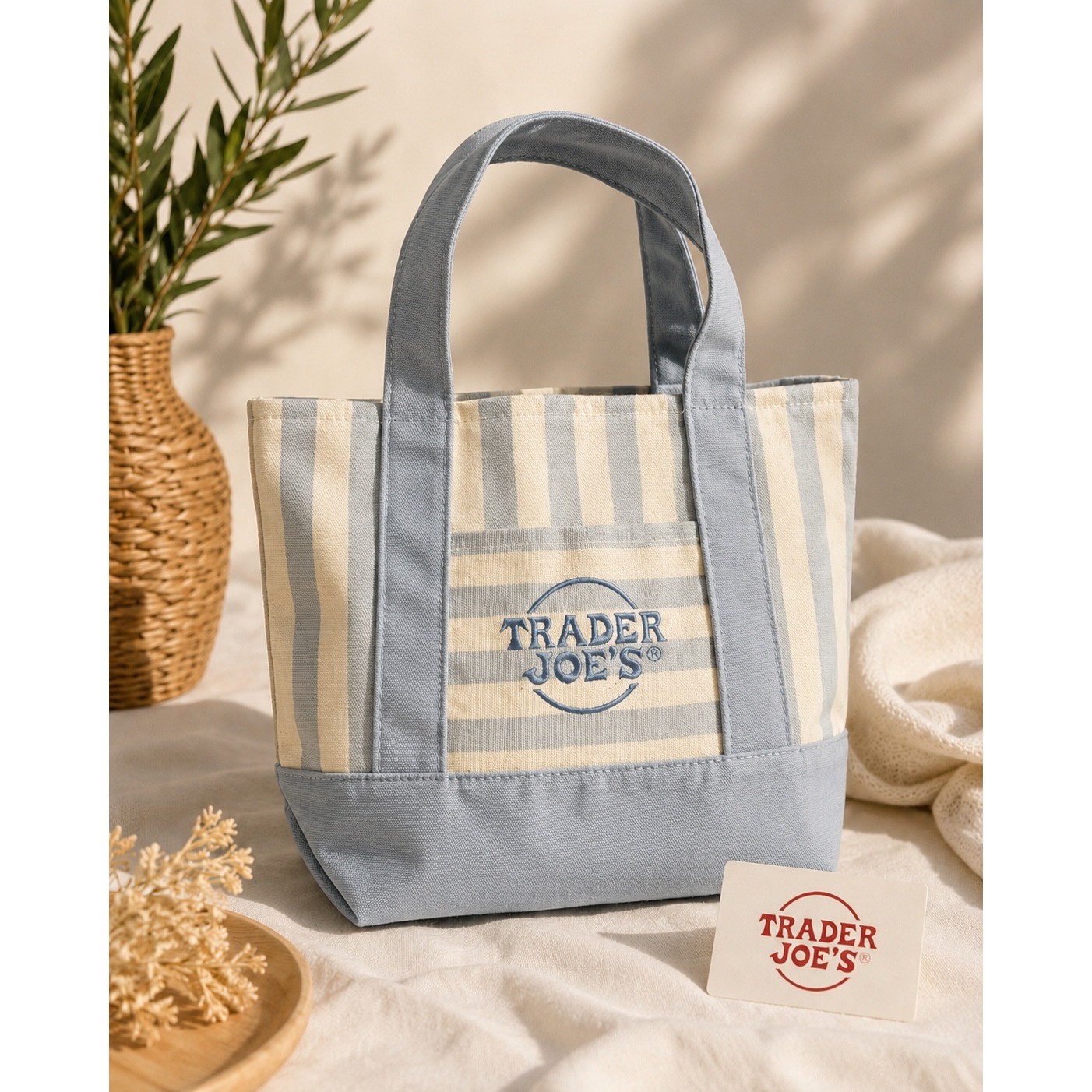 Trader Joe’s Mini Canvas Tote Bag Blue White Striped Small Grocery Handbag