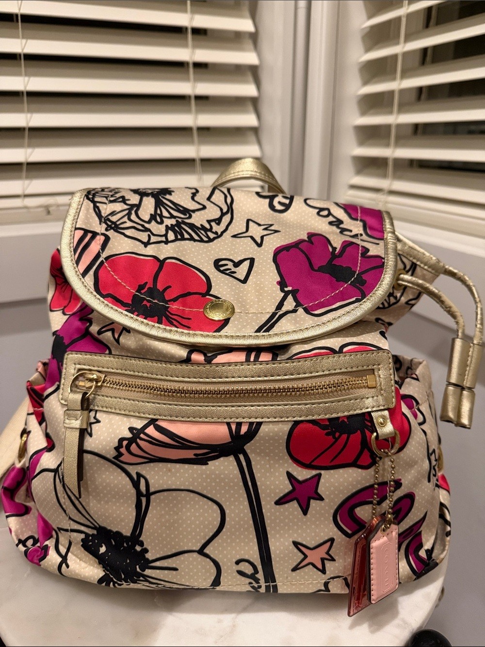 Coach Poppy Y2K Kyra Floral Graffiti Backpack