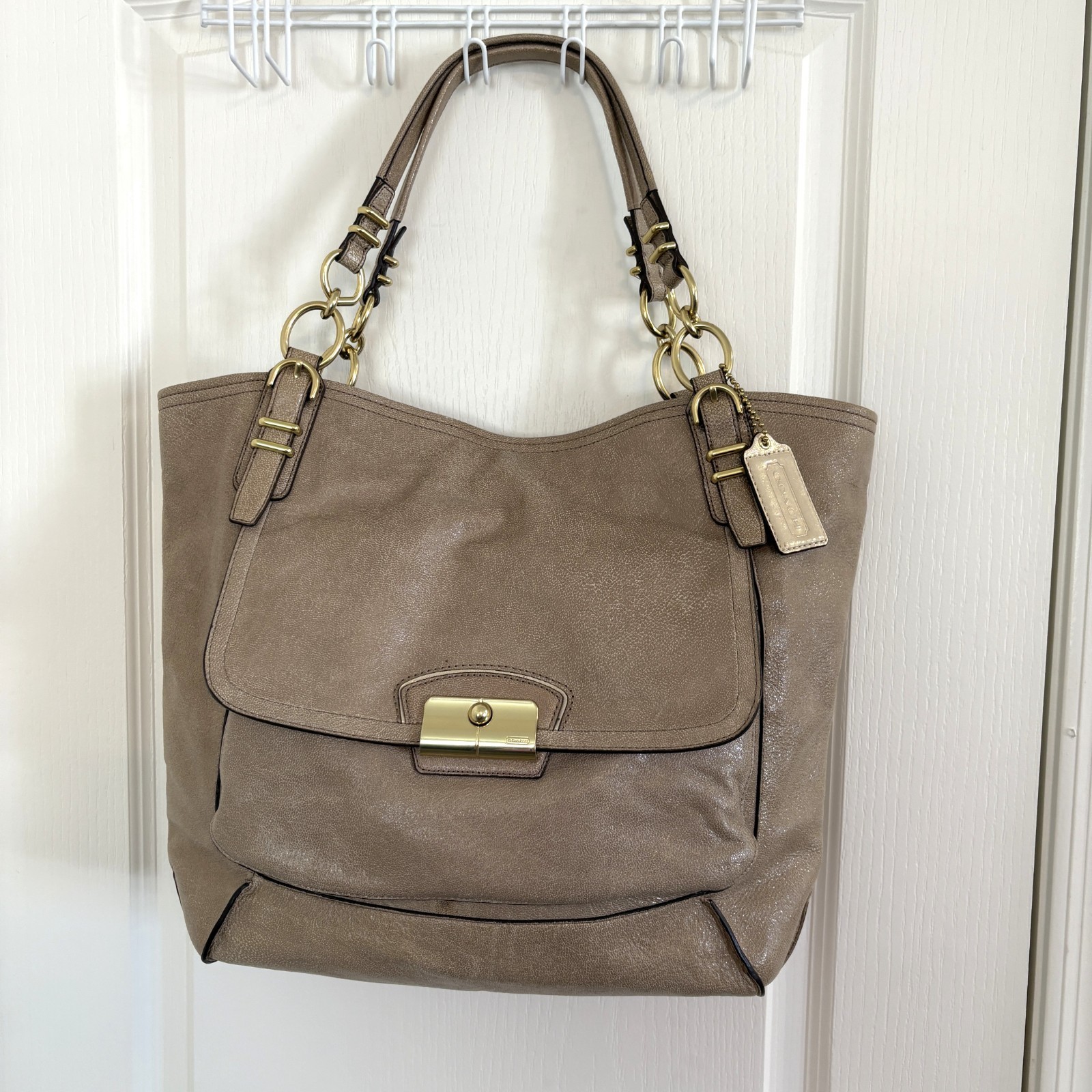 Coach Kristin Pinnacle Leather North South Tote Bag Large Handbag 19385 Fawn NEW