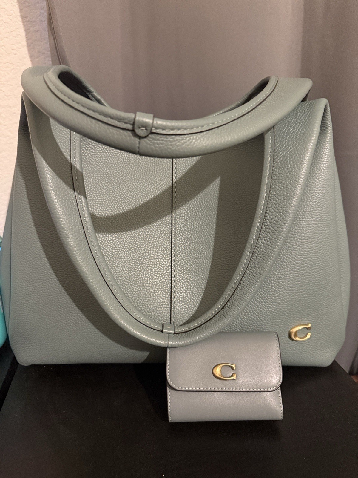 Coach Lana Sage Large Shoulder Bag Brass, Pebble Leather and Coach Sage Wallet
