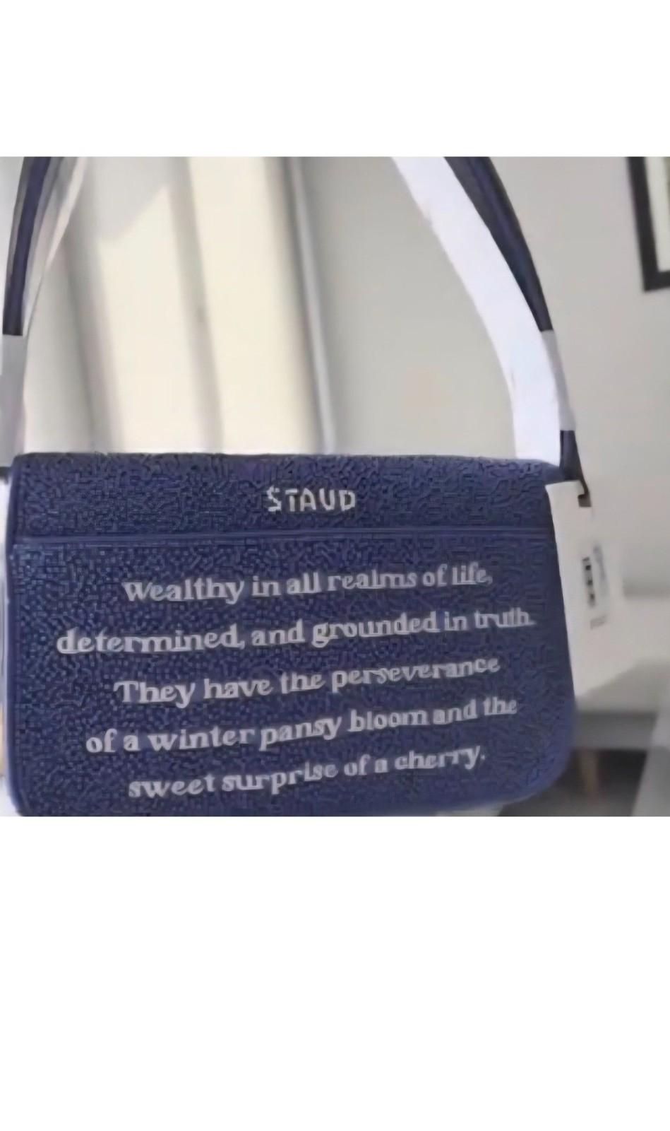 Rare Staud Tommy Zodiac beaded bag