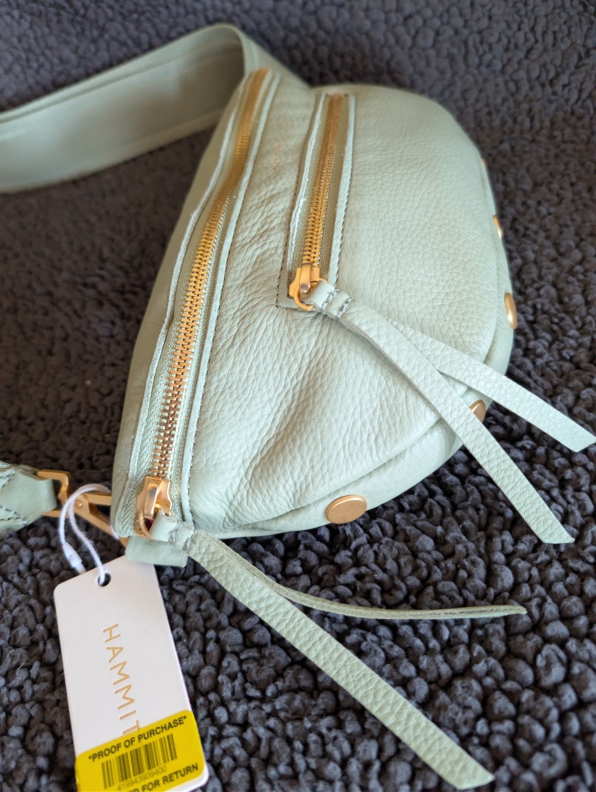 NWT Hammitt Charles Crossbody Medium Waist Purse Bag Leather Mint Green +Dustbag