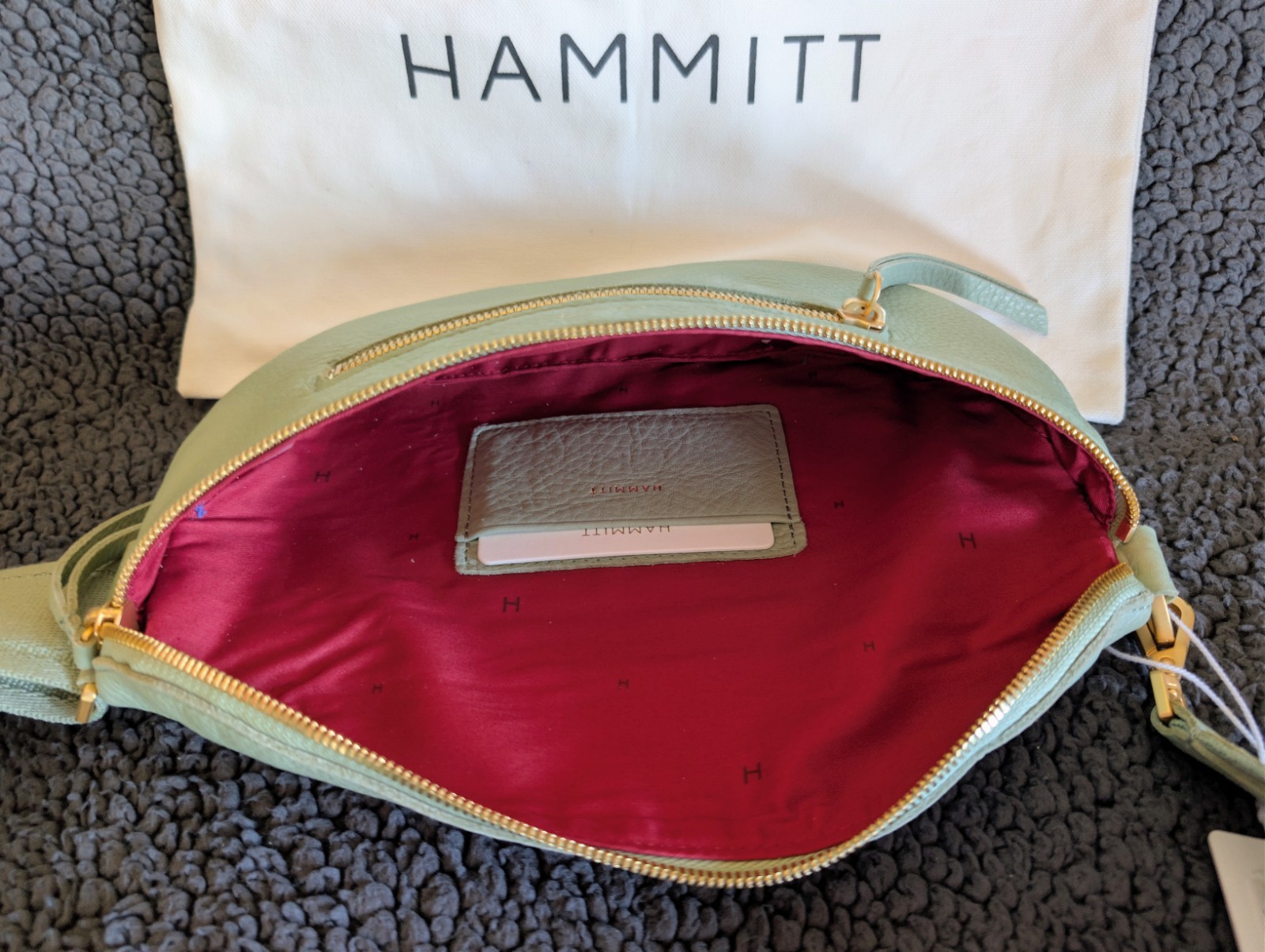 NWT Hammitt Charles Crossbody Medium Waist Purse Bag Leather Mint Green +Dustbag