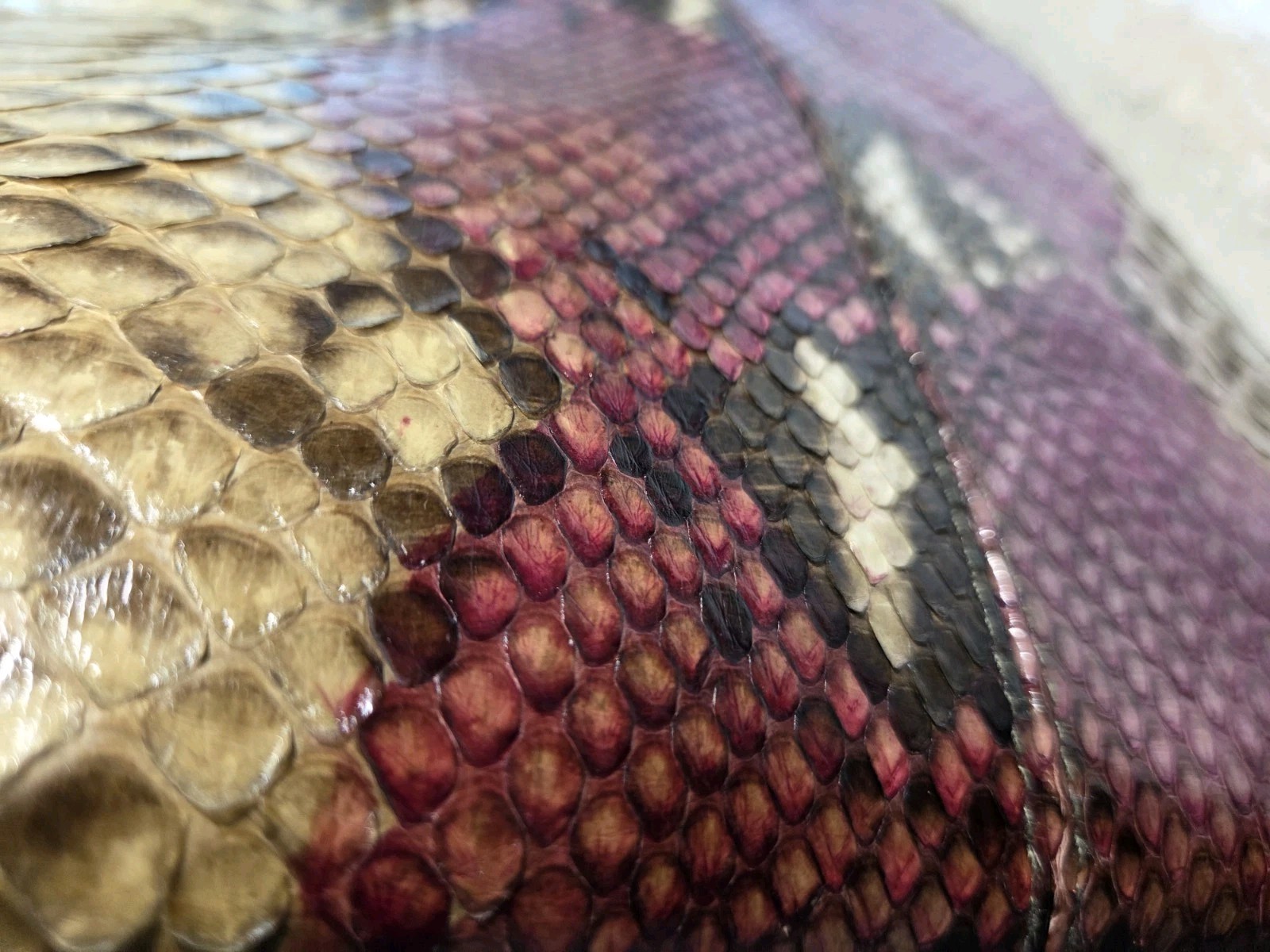 Grand Pelle Genuine Python Leather Exotic Pink Crossbody Bag Triple Compartment