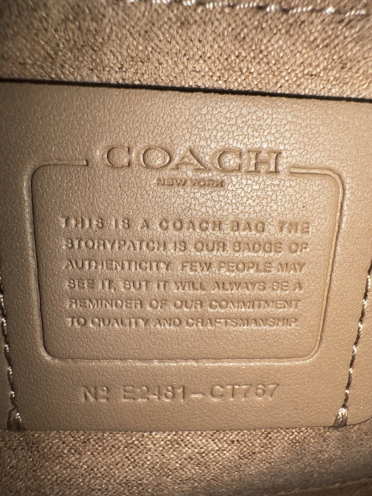 Coach Authentic Andrea Shoulder Bag