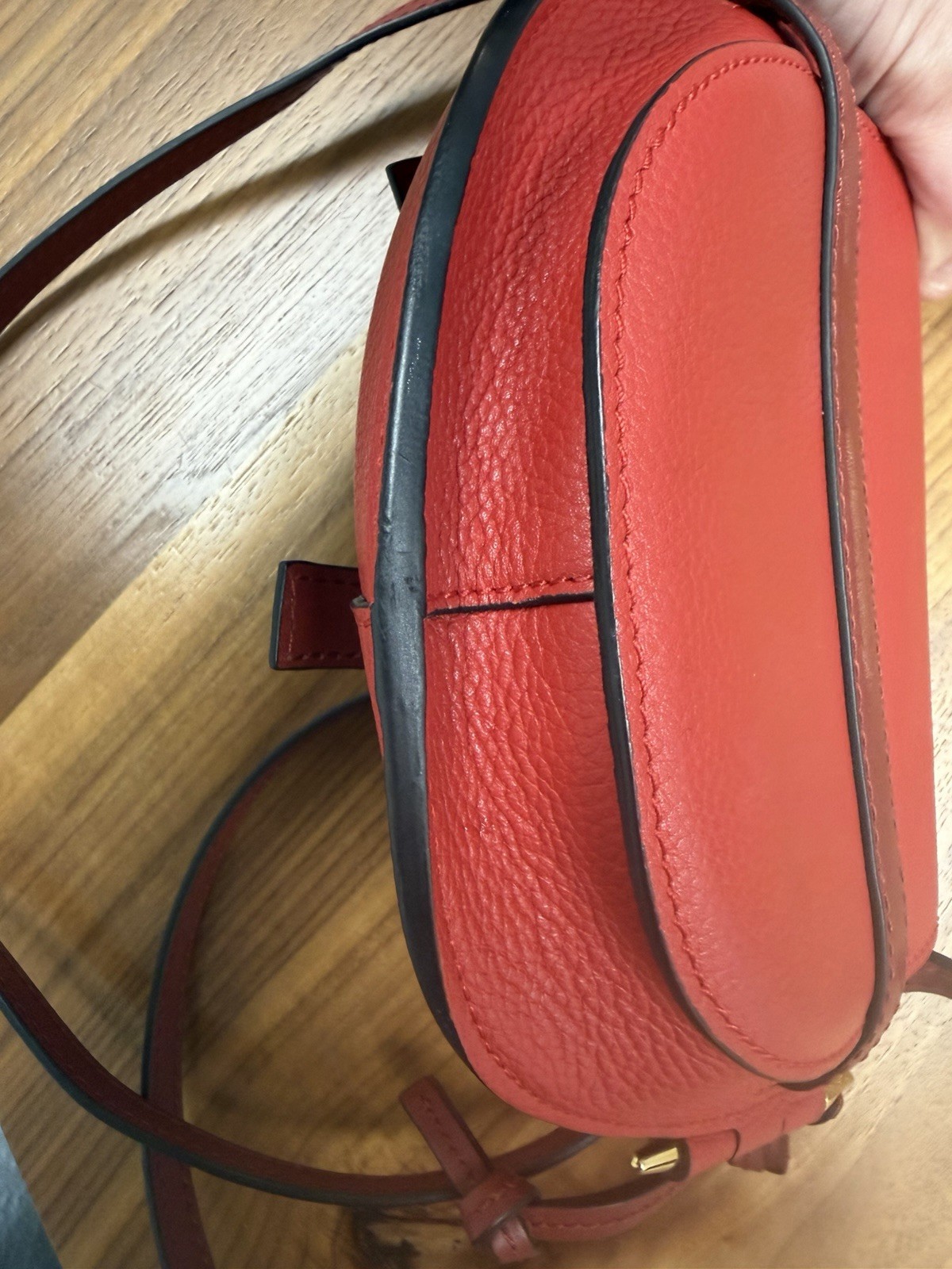 Loewe Gate Mini Red Crossbody Bag Gold Hardware Logo Bow Accents Strap
