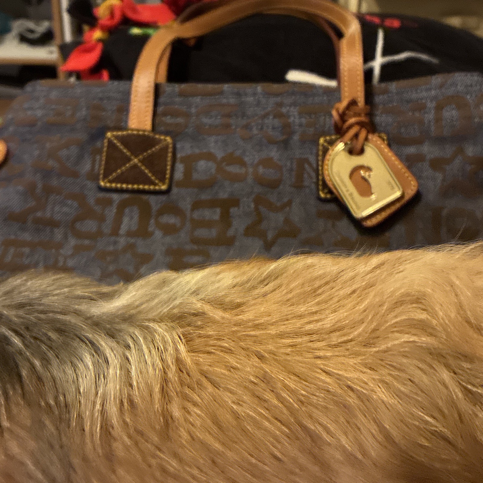 Dooney & Bourke Blue/Brown Logo Tote Zip Gold Hardware Double Leather Handles
