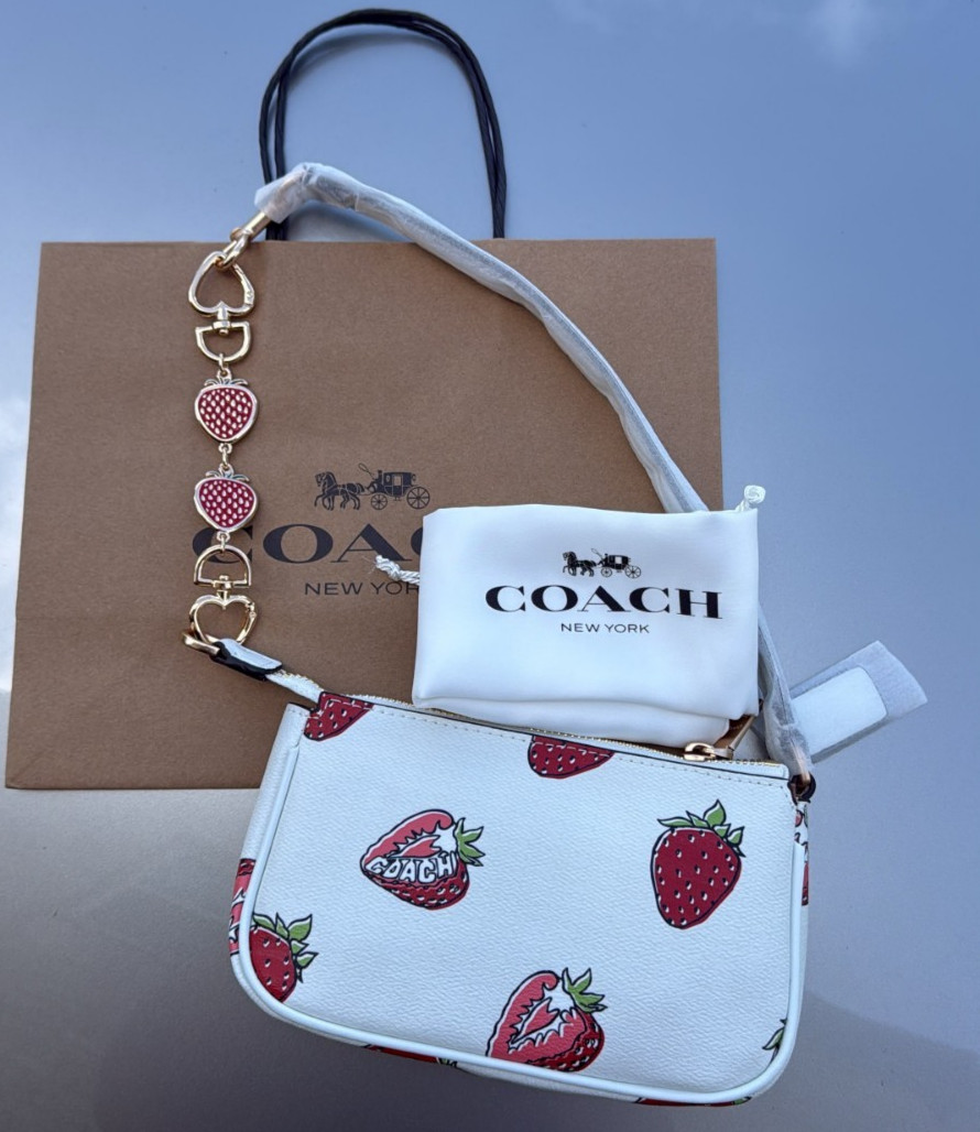 NWT Coach Nolita 19 Leather Shoulder Bag With Strawberry Print CAL25