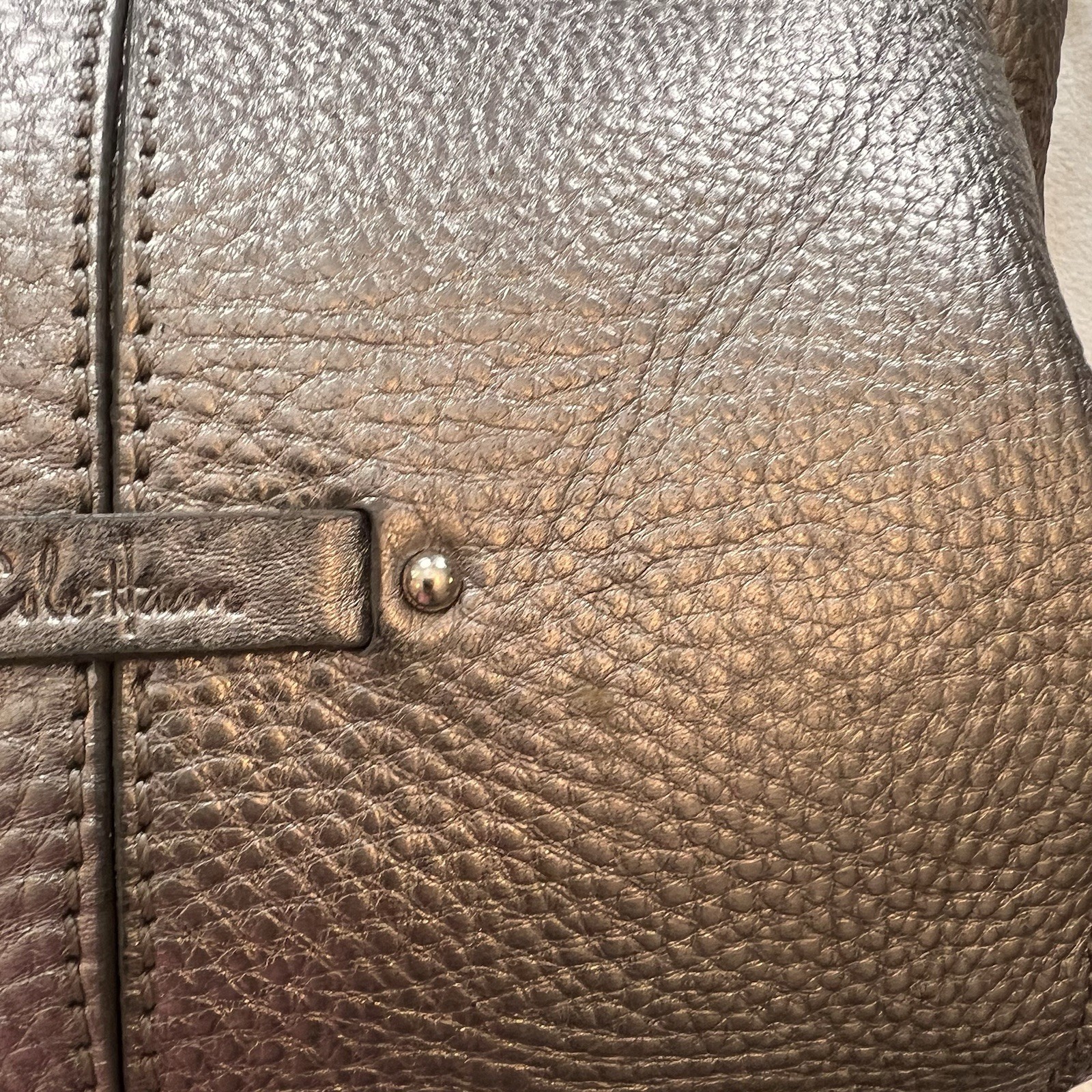 Cole Haan Platinum Silver Metallic Pewter Leather Handbag Hobo Tote Purse